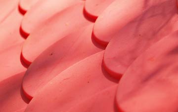 Stow plastic roof costs